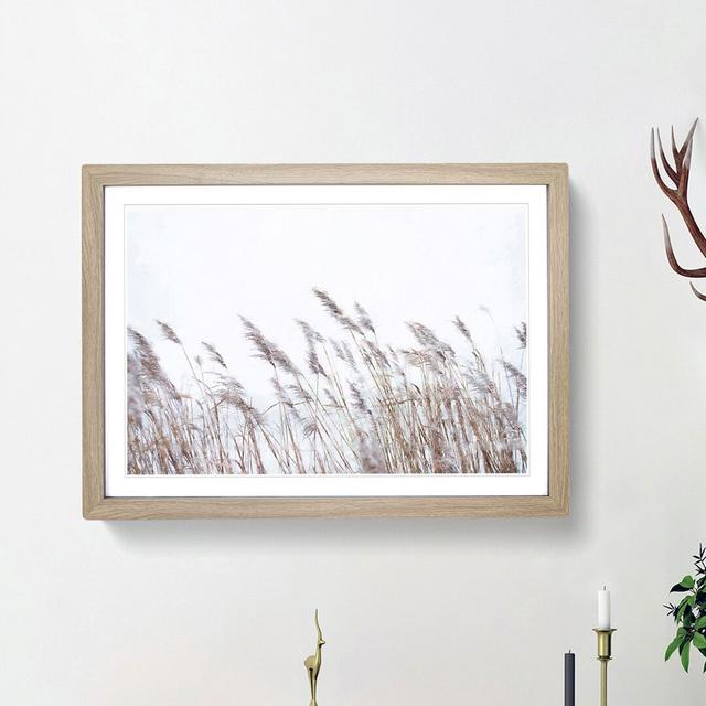 Reeds Blowing in the Wind - Picture Frame Painting Print East Urban Home Size: 33cm H x 45cm W x 2cm D, Frame Option: Oak Framed on Productcaster.