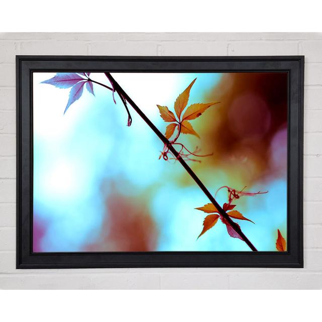 Leaves Close Up Framed Print Ebern Designs Size: 59.7cm H x 84.1cm W on Productcaster.