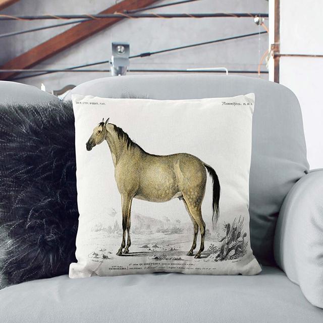 Horse Illustration PL. 10A by Charles D' Orbigny Cushion with Filling East Urban Home Size: 55cm H x 55cm W x 20cm D on Productcaster.