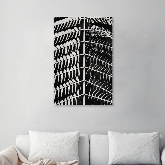 'Fern Noir' Graphic Art Print on Wrapped Canvas East Urban Home Size: 38cm H x 25cm W on Productcaster.