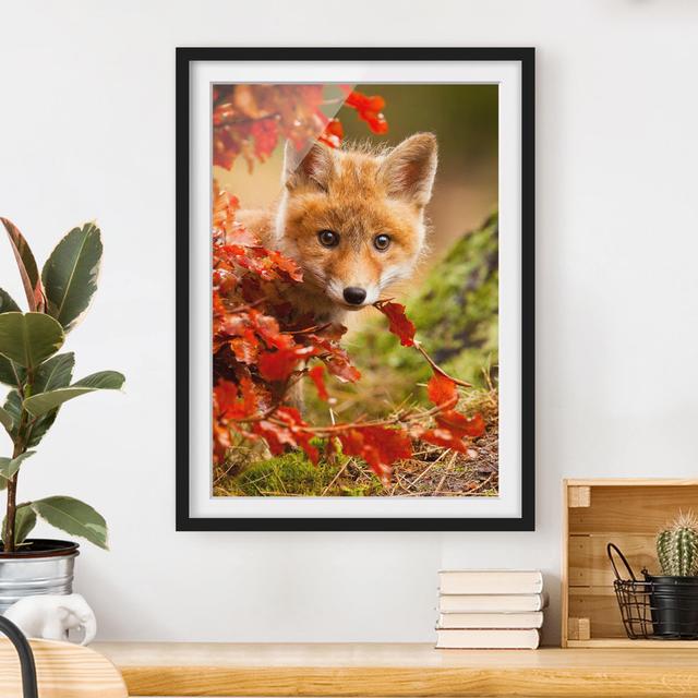 Gerahmtes Papierbild Fuchs im Herbst East Urban Home Größe: 40 cm H x 30 cm B, Rahmenoptionen: Mattes Schwarz on Productcaster.