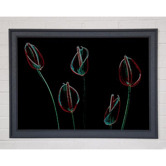 Abstract Neon Night Flowers - Single Picture Frame Art Prints ClassicLiving Size: 42cm H x 59.7cm W x 1.5cm D on Productcaster.