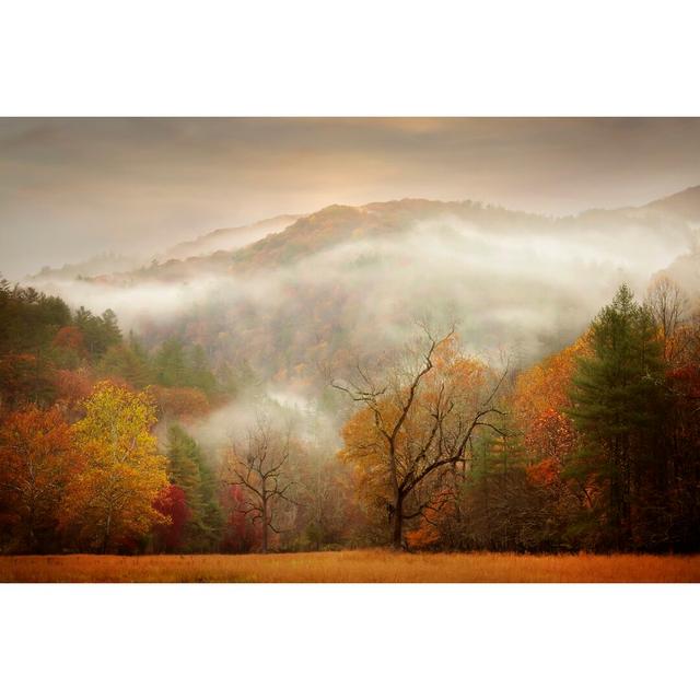 Autumn Mist by Phburchett - Wrapped Canvas Photograph Union Rustic Size: 20cm H x 30cm W on Productcaster.