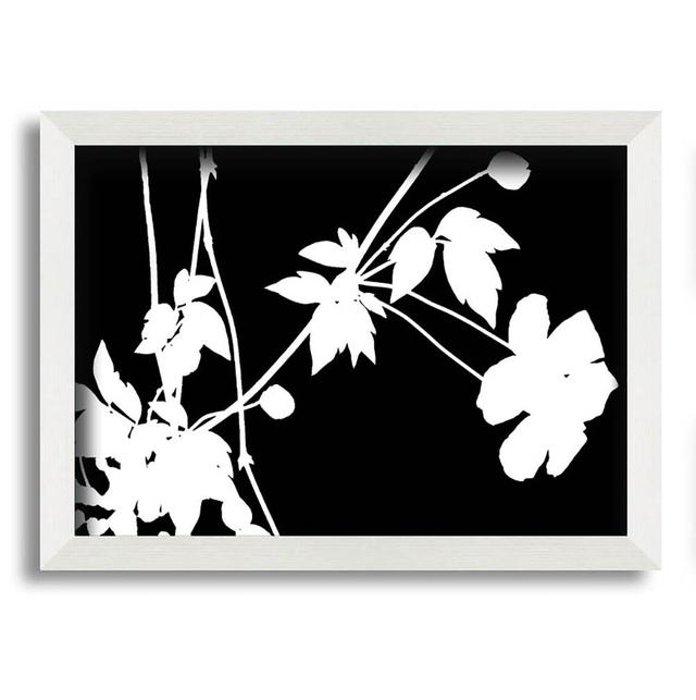 Littell Garden Delight White on - Single Picture Frame Art Prints ClassicLiving Size: 29.7cm H x 42cm W x 10cm D on Productcaster.