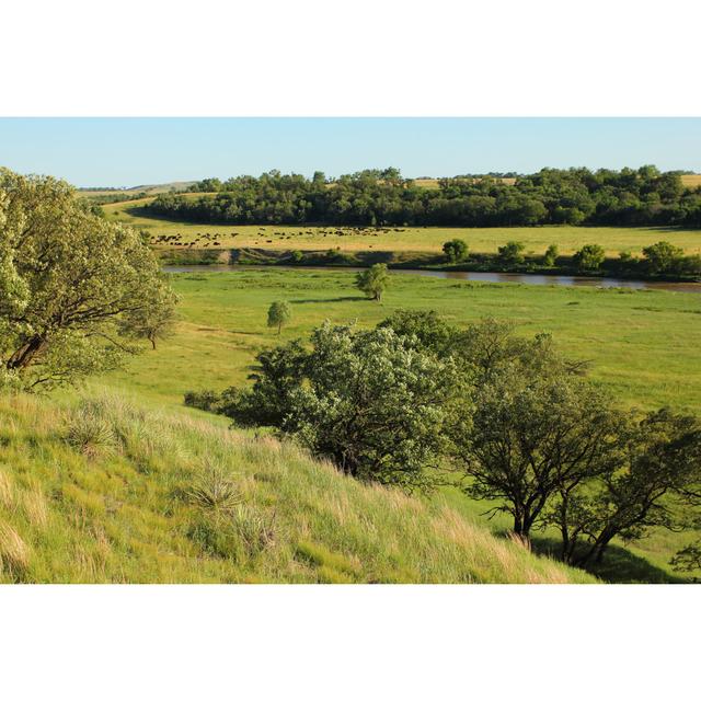 Scenic Ranch by Threespeedjones - No Frame Print on Canvas 17 Stories Size: 60cm H x 90cm W on Productcaster.