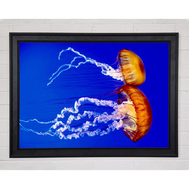 Stunning Jellyfish Framed Print House of Hampton Size: 84.1cm H x 118.9cm W x 1.5cm D, Format: Matte Black Framed Paper on Productcaster.