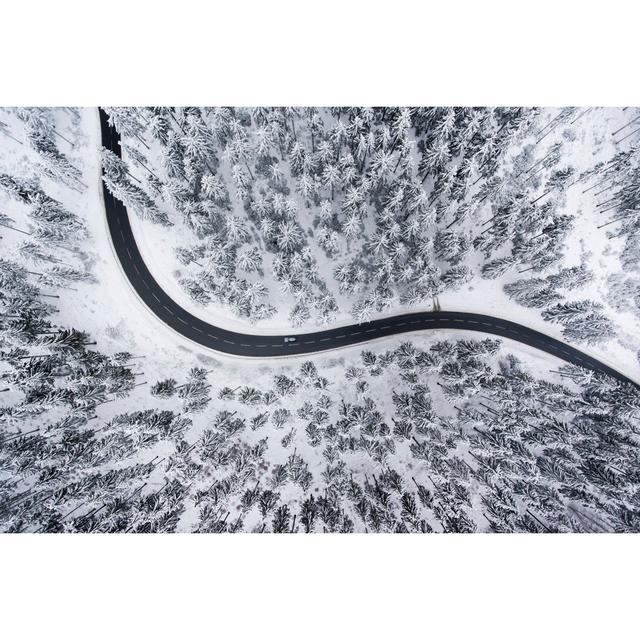 Road Through The Wintery Forest - Aerial View by Ollo - No Frame Print on Canvas 17 Stories Size: 60cm H x 90cm W on Productcaster.