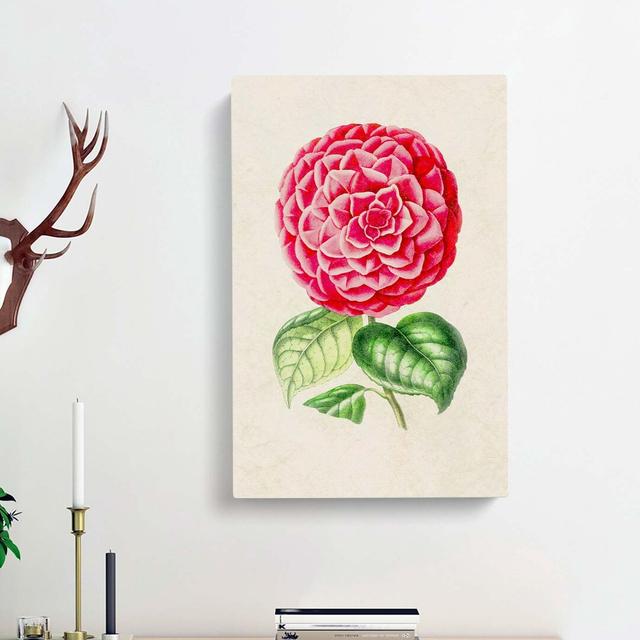 Bright Pink Camellia Flower Illustration - Wrapped Canvas Painting East Urban Home Size: 60cm H x 40cm W x 3cm D on Productcaster.