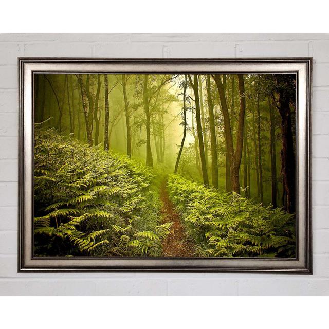 Green Forest Path - Single Picture Frame Art Prints Union Rustic Size: 59.7cm H x 84.1cm W x 1.5cm D on Productcaster.