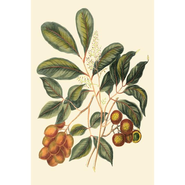 Foliage Flowers & Fruit I Rosalind Wheeler Size: 46cm H x 30cm W x 3.8cm D on Productcaster.