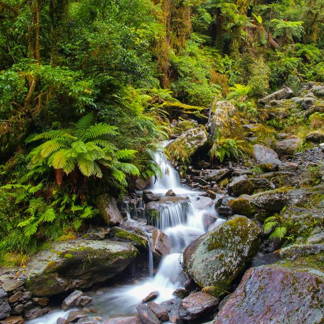 Waterfall In New Zealand - Wrapped Canvas Photograph Alpen Home Size: 30cm H x 30cm W x 3.8cm D on Productcaster.