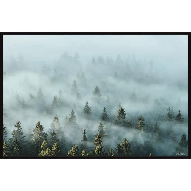 Misty Morning Glaze by Marmont Hill - Floater Frame Painting on Canvas Union Rustic Size: 76cm H x 114cm W x 3.81cm D on Productcaster.