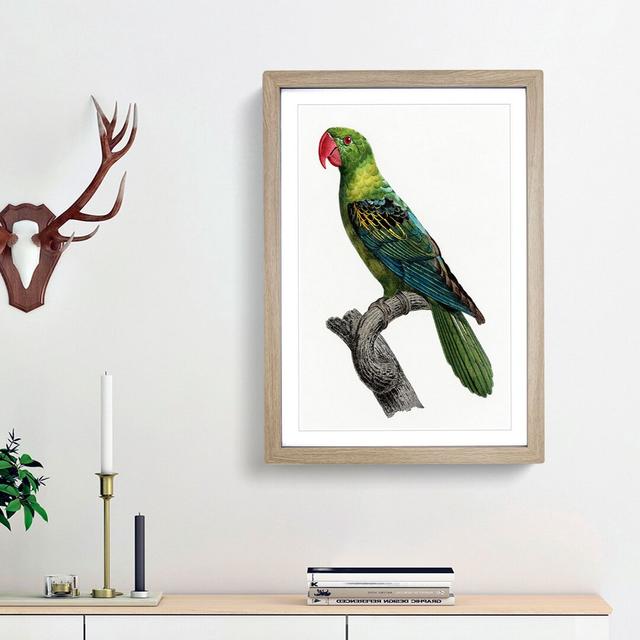 Great-Billed Parrot by F. Levaillant - Picture Frame Painting Print East Urban Home Frame Option: Oak Framed, Size: 36cm H x 27cm W x 2cm D on Productcaster.