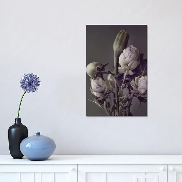 Secret XIII by Design Fabrikken - Wrapped Canvas Print ClassicLiving Size: 45.72cm H x 30.48cm W x 1.905cm D on Productcaster.