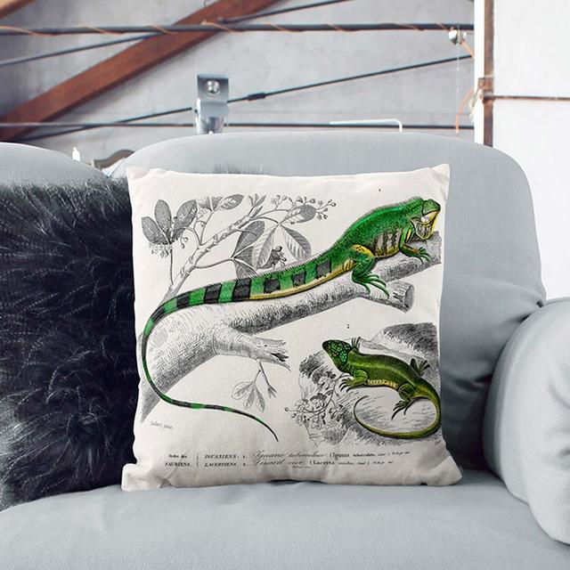 Iguana & Lizard by Charles D'Orbigny Cushion with Filling East Urban Home Size: 55cm H x 55cm W x 20cm D, Backing Colour: Black on Productcaster.