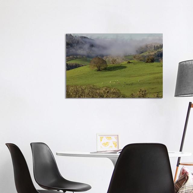 USA, Oregon, Whistler's Bend County Park. Overview Of Sheep In Pasture. by - Wrapped Canvas Gallery-Wrapped Canvas Giclée ClassicLiving Size: 66.04cm on Productcaster.