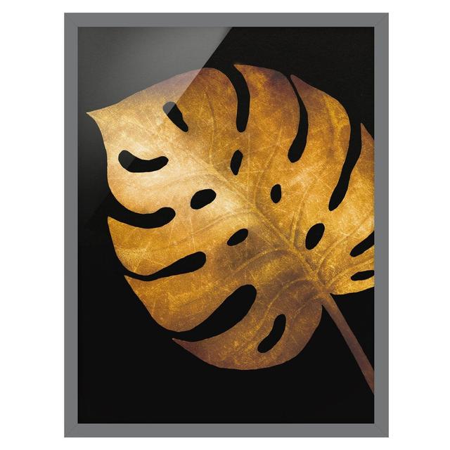 Gold - Monstera on Black - Picture Frame Graphic Art Bay Isle Home Size: 55cm H x 40cm W x 2cm D, Frame Option: Grey Framed on Productcaster.