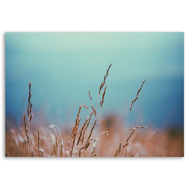 Canvas Print Grass Nature Plantsturquoise Ebern Designs Size: 80cm H x 120cm W on Productcaster.