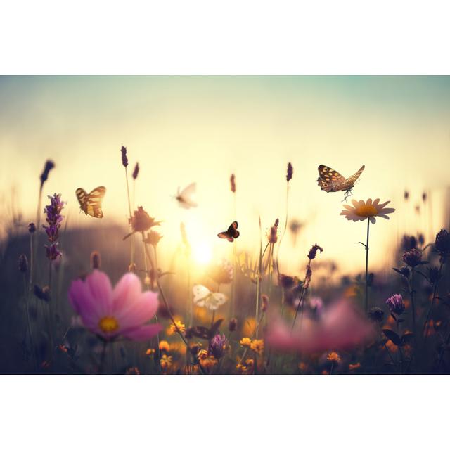 Sunset Meadow With Butterflies by Borchee - Print 17 Stories Size: 61cm H x 91cm W on Productcaster.