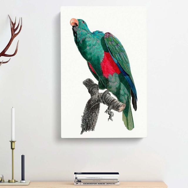 Eclectus Parrot by F. Levaillant - Wrapped Canvas Painting Print East Urban Home Size: 76cm H x 50cm W x 3cm D on Productcaster.