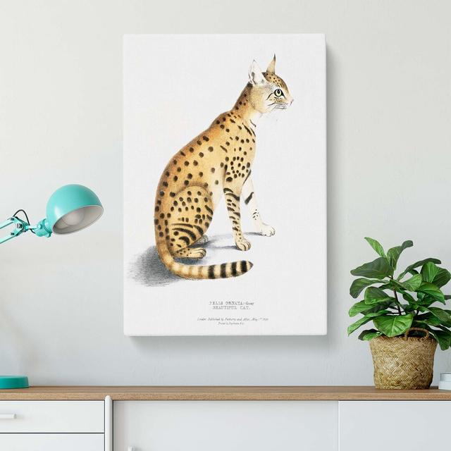 Asiatic Wildcat Illustration by John Edward Gray - Wrapped Canvas Painting Pint East Urban Home Size: 76cm H x 50cm W x 3cm D on Productcaster.