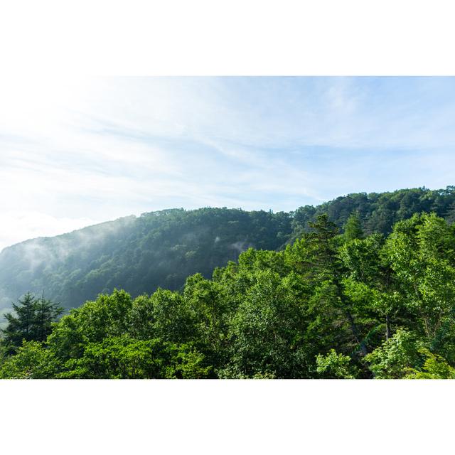 Beautiful View Of Mountain - Wrapped Canvas Print Alpen Home Size: 30cm H x 46cm W on Productcaster.