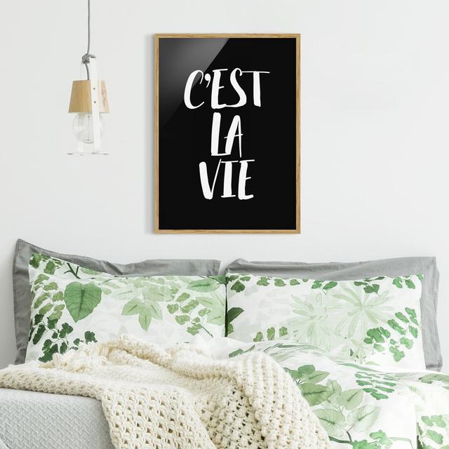 C'est La Vie - Picture Frame Typography Maturi Size: 70cm H x 50cm W x 2cm D, Frame Option: Brown Framed on Productcaster.