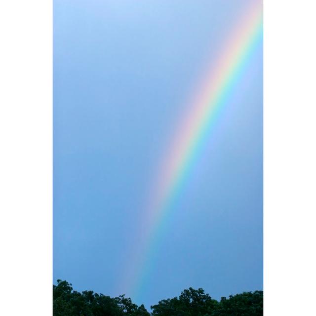 Rainbow by LUke1138 - No Frame Print on Canvas 17 Stories Size: 46cm H x 30cm W on Productcaster.