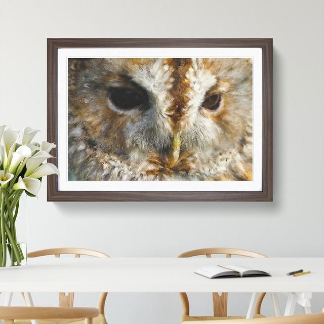 Tawny Owl Vol.2 - Picture Frame Graphic Art East Urban Home Frame Option: Walnut, Size: 27cm H x 36cm W x 2cm D on Productcaster.