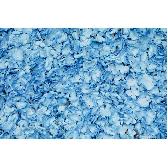 Photo of floral wall Latitude Run Size: 81cm H x 122cm W on Productcaster.