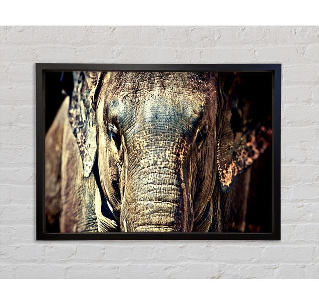 Elephant Trunk Framed Print Ebern Designs Size: 84.1cm H x 118.9cm W on Productcaster.