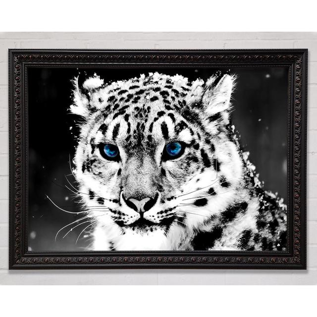 Snow Blue Eye Leopard - Single Picture Frame Art Prints Bright Star Size: 84.1cm H x 118.9cm W on Productcaster.