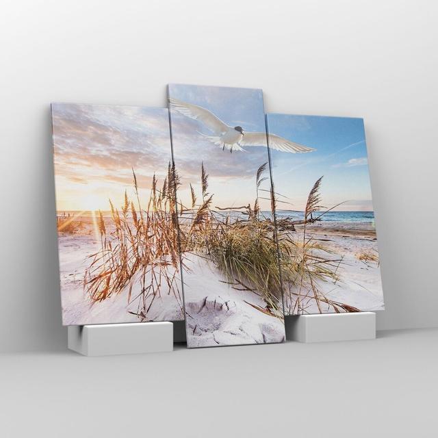 Seagull Sea Coast - 3 Piece Wrapped Canvas Photograph Highland Dunes Size: 100cm H x 130cm W x 1.8cm D on Productcaster.