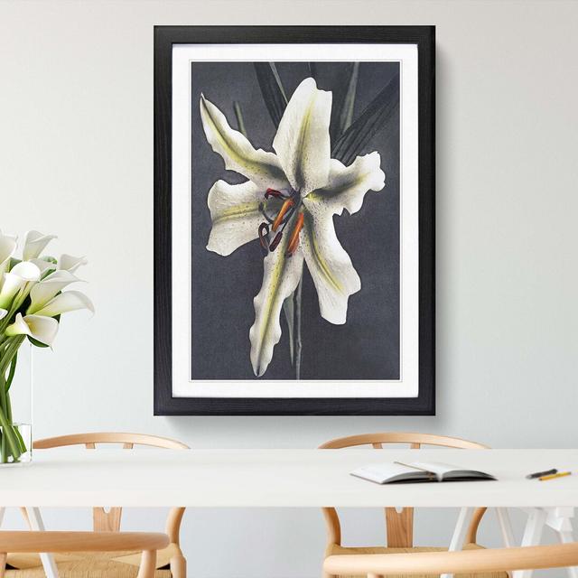 White Lily by Kazumasa Ogawa - Picture Frame Art Prints East Urban Home Size: 48cm H x 36cm W x 2cm D, Frame Option: Black Framed on Productcaster.