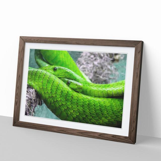 Green Mamba Snakes - Picture Frame Graphic Art East Urban Home Size: 27cm H x 36cm W x 2cm D, Frame Option: Walnut Framed on Productcaster.