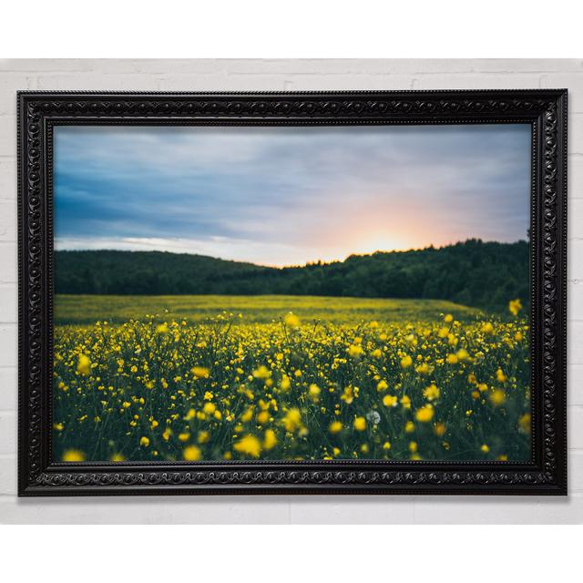 Surreal Field Of Yellow Flowers Framed Print Ebern Designs Size: 100cm H x 141.4cm W on Productcaster.