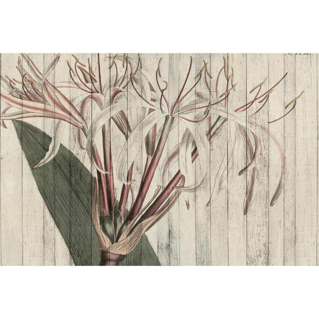 Rustic Floral I August Grove Size: 81cm H x 122cm W x 3.8cm D on Productcaster.