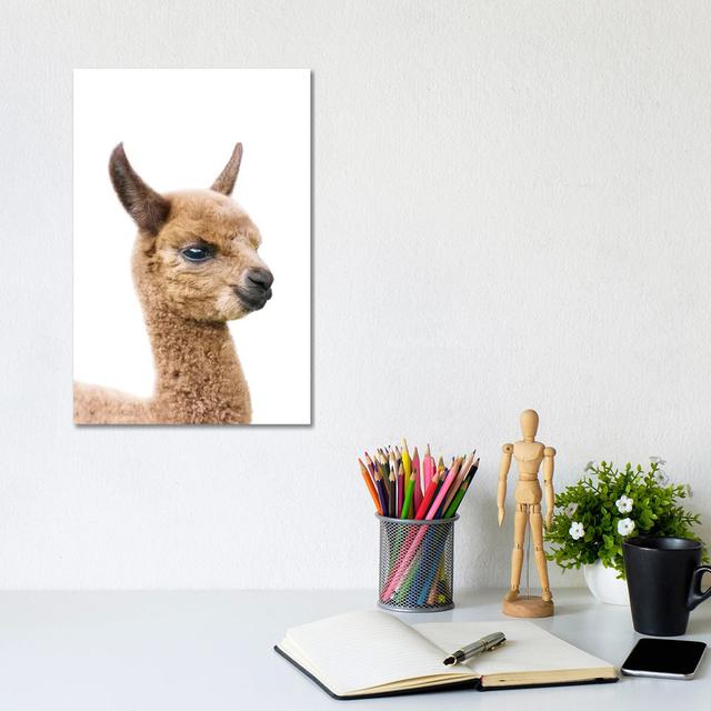 Baby Llama by Sisi & Seb - Gallery-Wrapped Canvas Giclée on Canvas Ebern Designs Format: Canvas, Size: 30.48cm H x 20.32cm W x 1.91cm D on Productcaster.