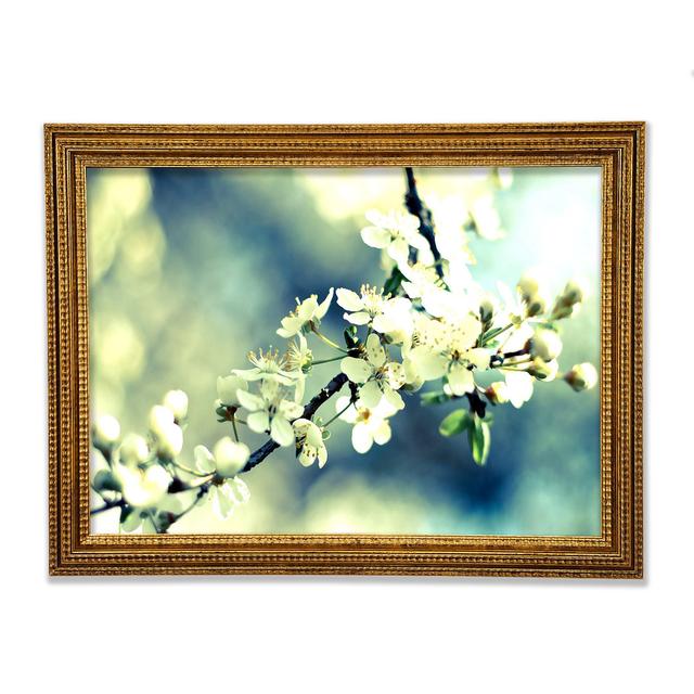 Spring Cherry Blossoms - Single Picture Frame Art Prints Ebern Designs Size: 42cm H x 59.7cm W x 3cm D on Productcaster.