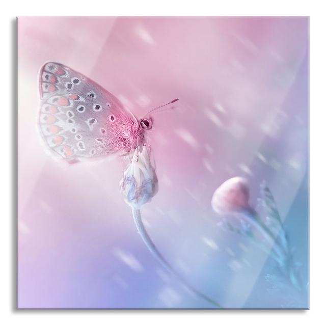 Butterfly On Flower Buds - No Frame Print on Glass August Grove Size: 70cm H x 70cm W x 0.4cm D on Productcaster.