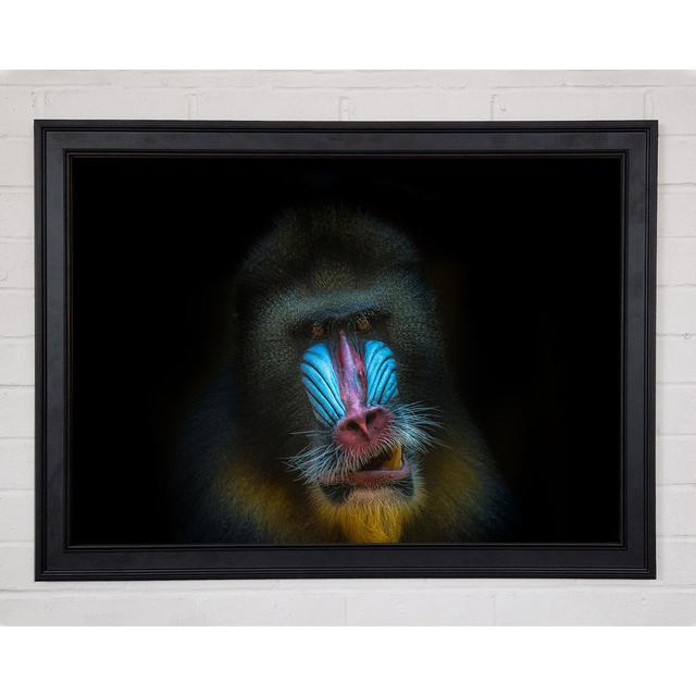 Mandrill Anger Framed Print Ebern Designs Size: 29.7cm H x 42cm W x 1.5cm D on Productcaster.