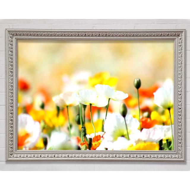 Colourful Summer Flowers Framed Print Bright Star Size: 29.7cm H x 42cm W on Productcaster.