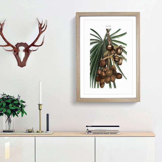 Date Palm by Pierre-Joseph Redoute - Picture Frame Painting Print East Urban Home Frame Option: Oak Framed, Size: 65cm H x 48cm W x 2cm D on Productcaster.