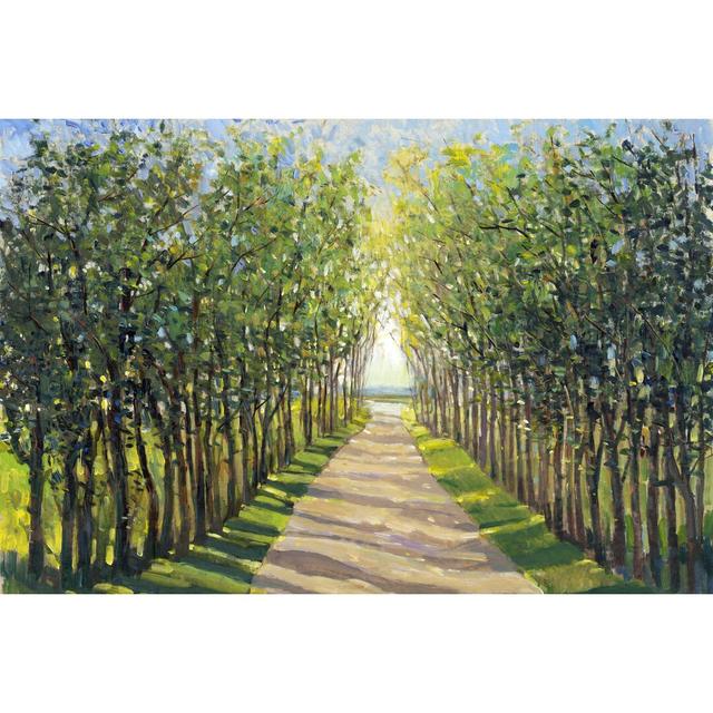 Walking Trail II by Timothy O' Toole - Wrapped Canvas Painting Rosalind Wheeler Size: 51cm H x 76cm W on Productcaster.