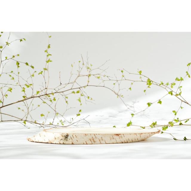 Felled Birch Tree Lying by Irina Lesovaia - Wrapped Canvas Print Ebern Designs Size: 81cm H x 122cm W on Productcaster.