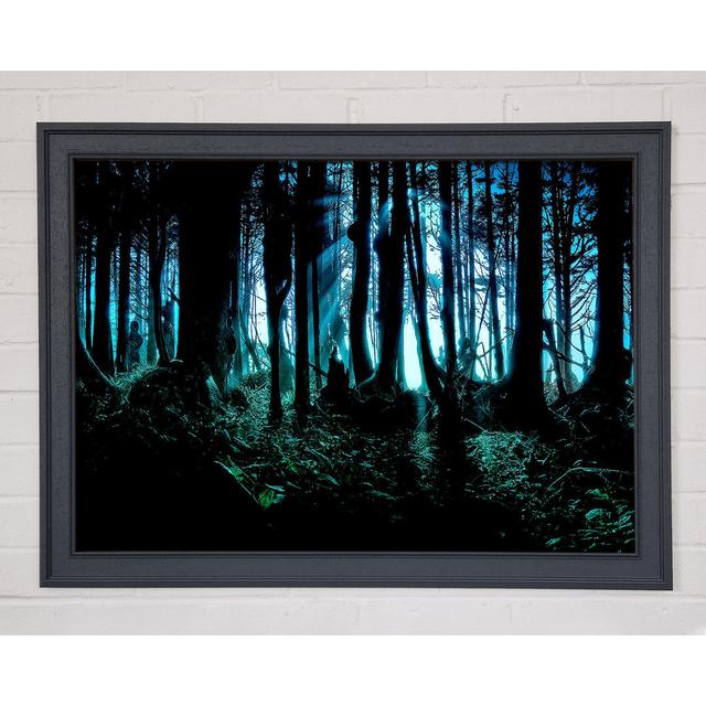 Mysterious Forest - Print Alpen Home Size: 59.7cm H x 84.1cm W x 1.5cm D on Productcaster.