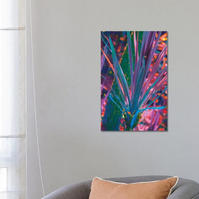 Prismatic Meteor by Nathan Head - Wrapped Canvas Photograph Rosalind Wheeler Size: 66.04cm H x 45.72cm W x 1.91cm D on Productcaster.