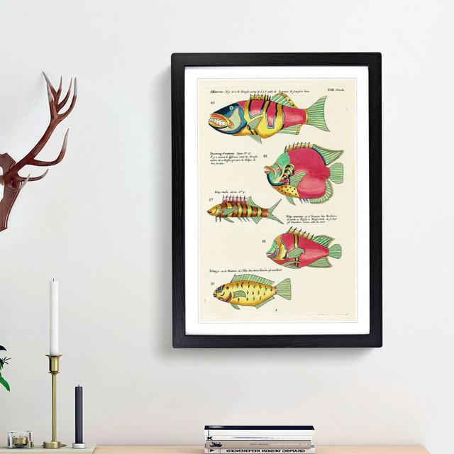 East Indies Fish Illustrations XVIII by Louis Renard - Picture Frame Graphic Art Print East Urban Home Size: 36cm H x 27cm W x 2cm D, Frame Option: Bl on Productcaster.