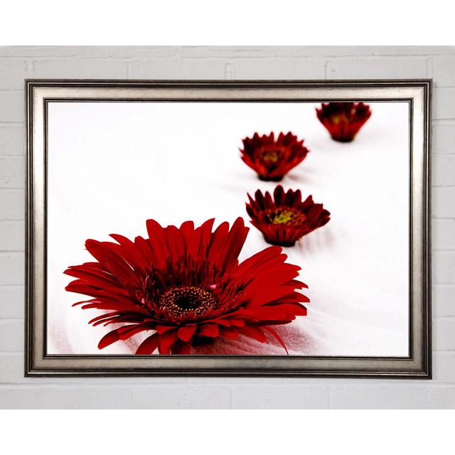 Red Gerbera Heads - Single Picture Frame Art Prints Ebern Designs Size: 29.7cm H x 42cm W x 1.5cm D on Productcaster.