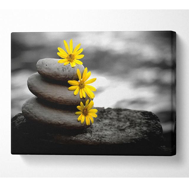 Zen Flowered Stones - Print Latitude Run Size: 50.8cm H x 81.3cm W x 10cm D on Productcaster.